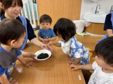 食育！